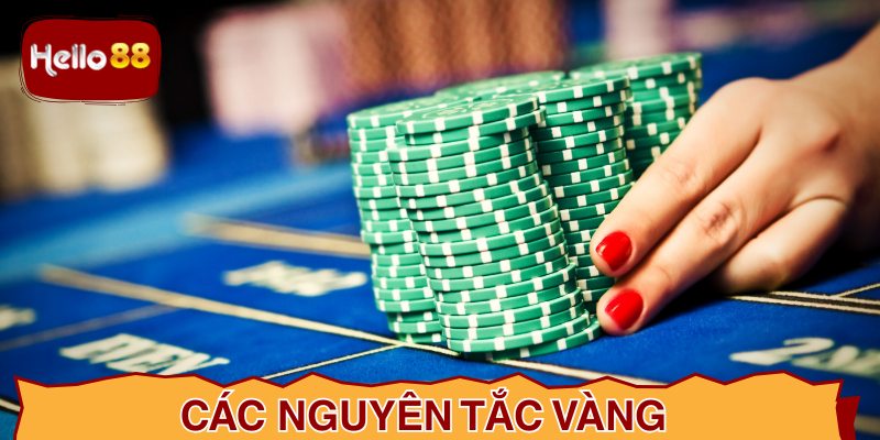 Các nguyên tắc vàng trong quản lý vốn