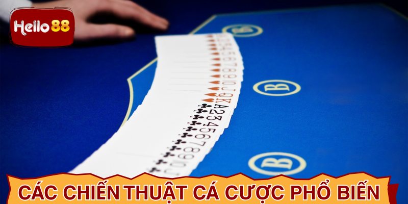 Các chiến thuật cá cược phổ biến