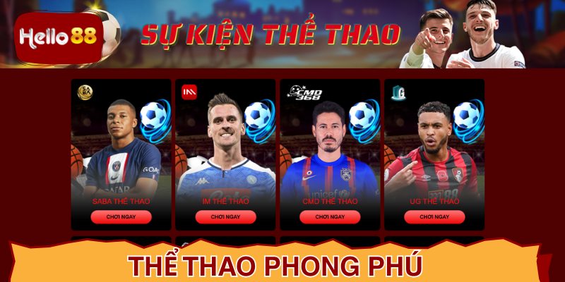 Tổng quan, giới thiệu về sảnh thể thao trên hệ thống